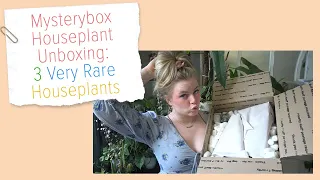 Mystery Box Houseplant Unboxing: 3 Rare Houseplants!