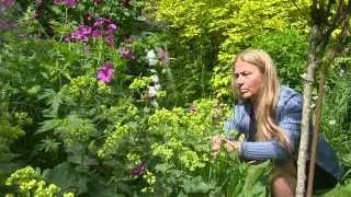 Jardin de Normandie : Le Jardin Retiré