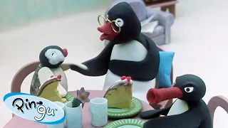 Pingu's Grandfather Comes to Visit 🐧  | Pingu - Official Channel | Cartoons For Kids