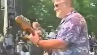 Guitar Great Passed Away