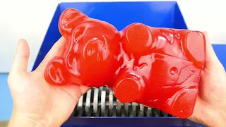 SHREDDING GIANT GUMMY BEAR BUBBLEGUM 5 POUNDS