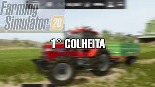 PRIMEIRA COLHEITA |FS20 SÉRIE #1