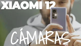 Todo sobre las CÁMARAS del XIAOMI 12 | Las claves de su fotografía