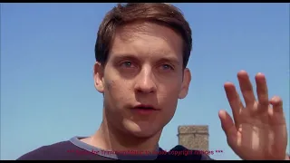 Peter Parker First Time using Web in Hindi Crawling Wall Spider-Man (2002) Full Movie Clip in Hindi