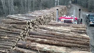 My Best Logging Truck Video