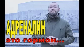 Адреналин это гормон...