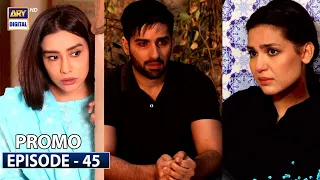 Mujhay Vida Kar Episode 45 | Promo | ARY Digital Drama