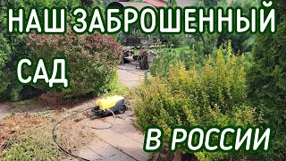 НАШ ЗАБРОШЕННЫЙ САД В РОССИИ