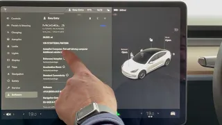 Tesla FSD Option, how to check and does it transfer