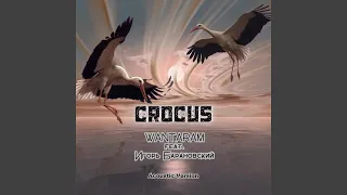 Crocus [Acoustic Version]