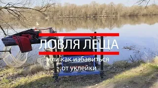 Ловля леща или как избавиться от уклейки