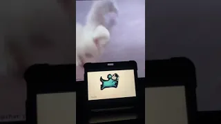 MY DOG CAN BE SO SELFISH! (Double screen)