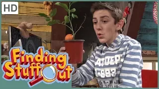 Finding Stuff Out- "Plants" Season 2 Episode 7 (FULL EPISODE)