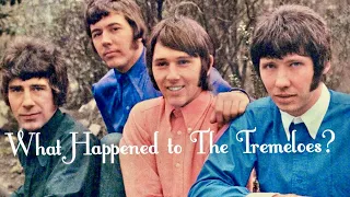 What Happened to The Tremeloes?