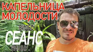 Видео сеанс «Капельница молодости»