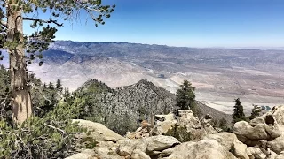 Lost Hiking Mount San Jacinto, California For 3 Hours