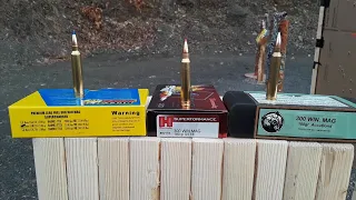 300 Win Mag 2x10 Penetration Test #2 - Long range (200 yds) Accubond, TTSX, SST