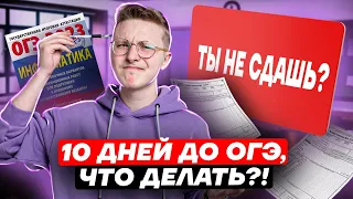 Сдаешь ОГЭ по информатике 14 июня? Как подготовиться за 10 дней?| Умскул