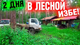 ДВА ДНЯ В ЛЕСНОЙ ИЗБЕ! ОФРОУД, РЫБАЛКА, ЧЕРМЕТ!