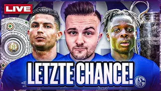 FIFA 21: LETZTER Karriere Stream mit Fc Schalke 04 LIVE 🔥  Wir wollen das Triple!