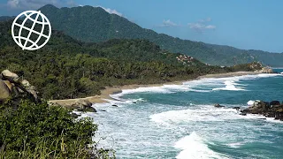 Tayrona National Park, Colombia  [Amazing Places 4K]