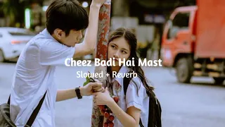 Tu Cheez Badi Hai Mast Song | Slowed + Reverb | Mashup