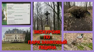 Тест камеры DJI OSMO ACTION 3 на пробежке по Park Zamkowy в Pszczyna / Парк Замковый в Пщина