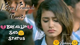 💔Breakup Status💔Priya Prakash Roshan Abdul Lovers Day Breakup Cute Girl Jealous WhatsApp Status,