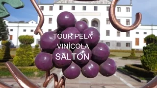 TOUR PELA VINÍCOLA SALTON