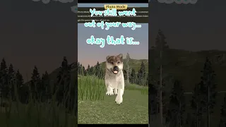 That wolf is actually adorable tho #wolfquest #wolfgame #cute #adorable #notmad