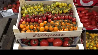 LONDON FRUIT MARKET TOUR