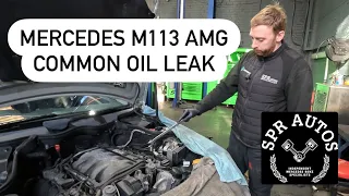 Common Mercedes m113 oil leak on a CLK 55 AMG + Free COMPETITION!