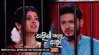 Tarini Akhira Tara | 15th Oct  2022 | Ep - 1446 | Watch Full Episode Now On Tarang Plus