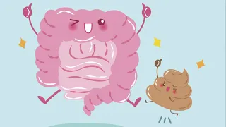 How Much Poop Can The Human Body Hold?