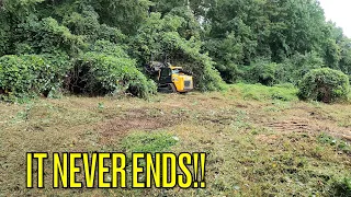 Forestry Mulching AN HOA KUDZU NIGHTMARE (Part 2) THICK & OVERGROWN MESS