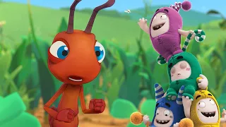 Jinxed | 2 Hours of OddBods & Antiks  | Best Cartoons For All The Family  🎉🥳