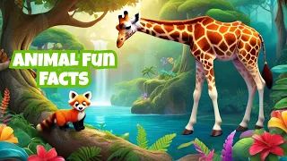 ANIMALS FOR KIDS - Giraffes, Sea Turtles, Red Pandas, Elephants, Dolphins, and Koalas