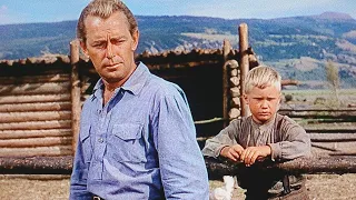 Tragic Details and Poor Fate Of Alan Ladd: The True Quiet Man