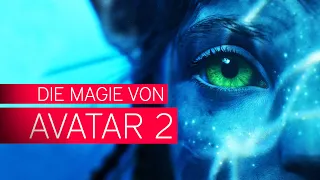 Sieht so der erfolgreichste Film aller Zeiten aus? - AVATAR 2: The Way of Water