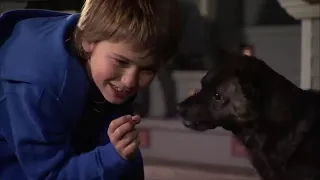 Film d'aventure complet en français : un chien à la maison Blanche