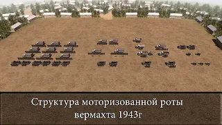 Структура моторизованной роты вермахта 1943г