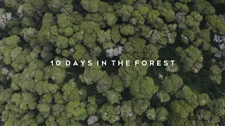 10 Days in the Forest | Official Trailer