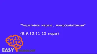 Нейрохирургический цикл. "Черепные нервы, микроанатомия" (8, 9, 10, 11, 12 пары)