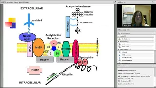 MGFA Webinar Series: Understanding Myasthenia Gravis and Your Child