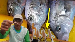 MABISANG KULAY NG PAIN NA GAWA SA ALPAKA | CRYSTALIT PABORITO NG TALAKITOK. #fishing #amazingfish