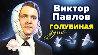 Виктор Павлов. Голубиная душа