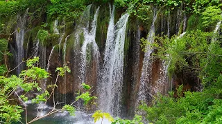 The sound of a waterfall for relaxation and insomnia relief