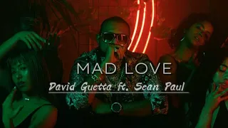 Sean Paul, David Guetta - Mad Love ft. Becky G (Lyrics) || Cloudy Vibez