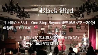 Black Bird:【井上陽介トリオ『ONE STEP BEYOND』発売記念ライブ】＠静岡LIFE TIME　井上陽介（b）武本和大（p）濱田省吾（ds）2024年3月31日