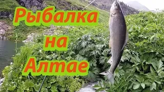 Хариус на Муху в горном озере Алтая Хорошая Рыбалка